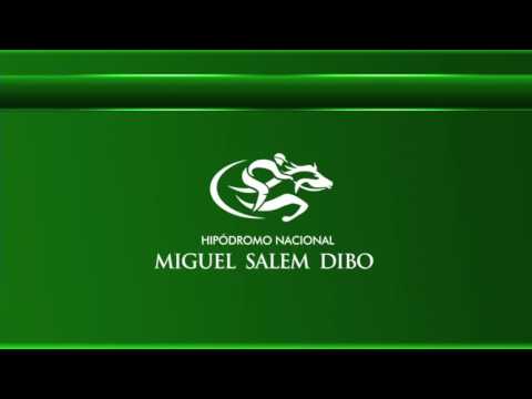 EN VIVO  04 DE SEPTIEMBRE  2016