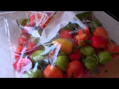download lagu mp3 mp4 Best Way To Preserve Habanero Peppers, download lagu Best Way To Preserve Habanero Peppers gratis, unduh video klip Best Way To Preserve Habanero Peppers