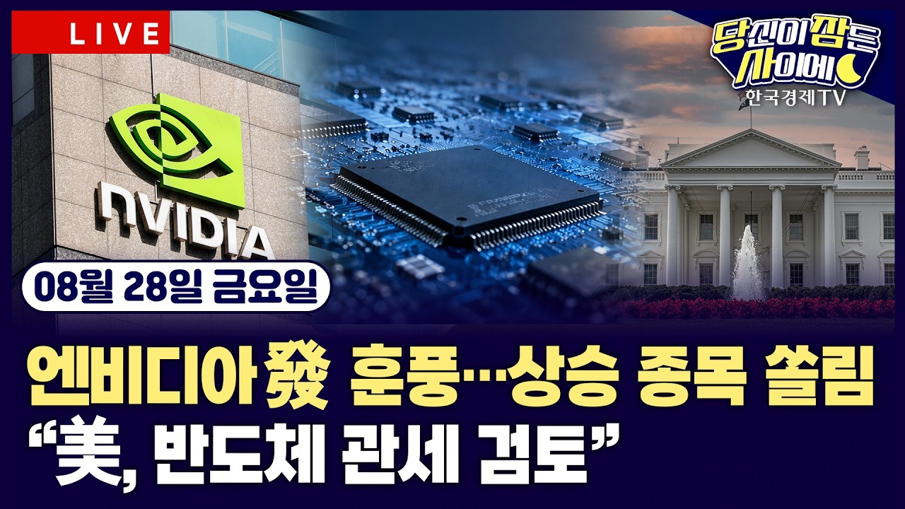 [🔴08/28 #당잠사] 폴리티코 "美, 반도체 전면적 관세 부과 검토 중"ㅣ뉴욕증시, 엔비디아발 실적 훈풍ㅣ비?