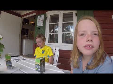 Avsnitt 2 - Voltflip