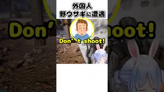 外国人野ウサギに遭遇してファンサするぺこちゃん【兎田ぺこら/ホロライブ】 #hololive #兎田ぺこら #ホロライブ
