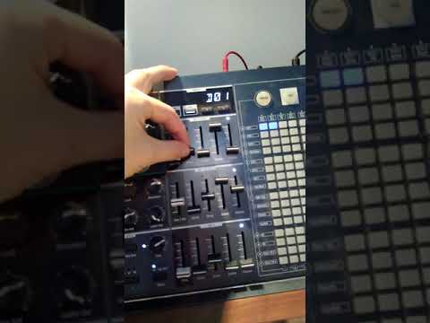 Matrix Brute - Looped Envelopes!