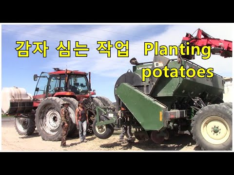 , title : '감자 심는 대형 기계. planting potatoes'