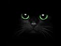 Lima La Haza Salam Original Song Soothing