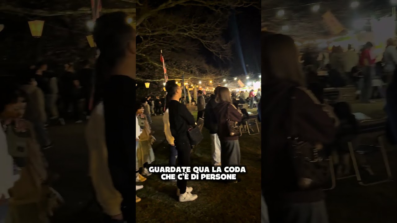 HANAMI SERALE AL KINTAIKYO A IWAKUNI