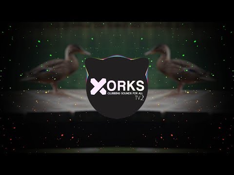 Dark X Maniac - Duck Riddim