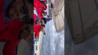 Bruny Island Cruise Tour | Tasmania Travel Vlog | Hobart Tasmania Australia