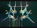 Trapeze Filmpje Wmv