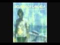Hey Satuday Sun by Boards of Canada