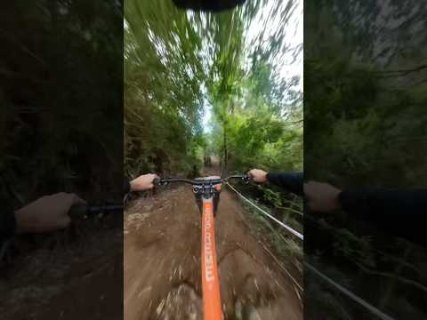Bajada final Lanco Los rios cup fecha 2 #dhbike #mtb #fullsend #losriosdhcup #lanco #mtbchile