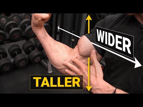 How to Get Bigger Biceps (TALLER & WIDER!)