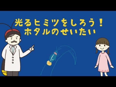 ホタルは何を食べてどこに住んでいますか?