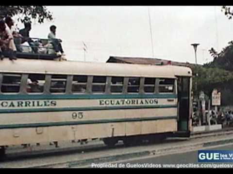 EL  CHINCHINAL  ( Olmedo Torres y Los Gatos) ECUADOR