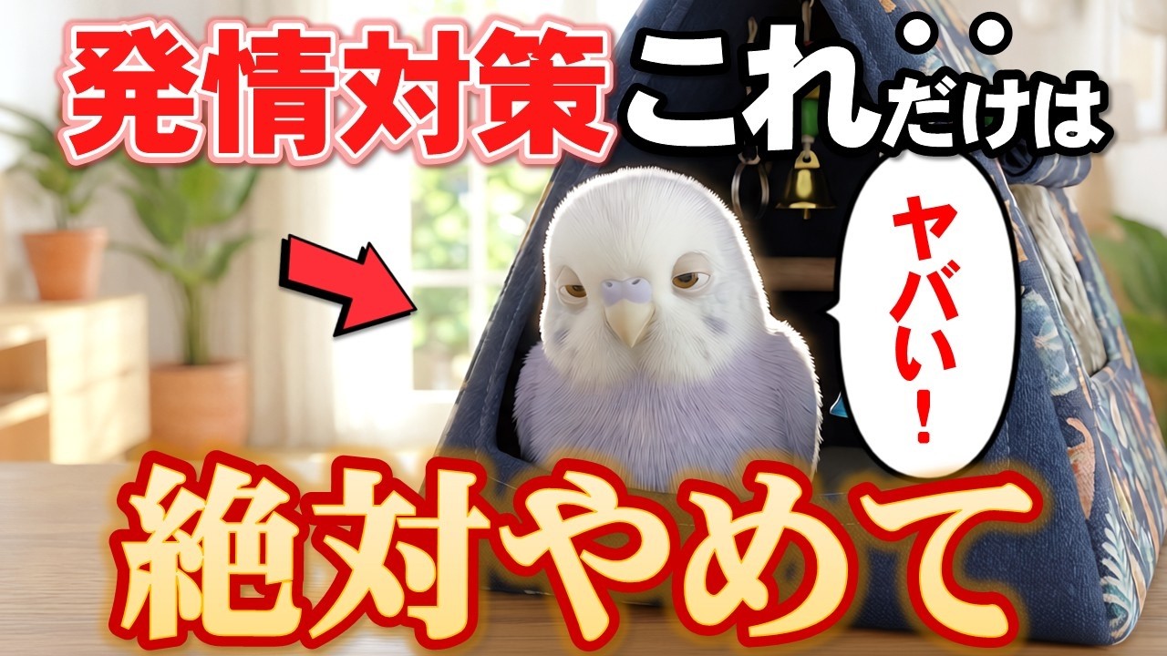 実は危険！発情した時に見せる仕草と対策！正しい接し方とは