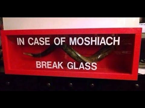 Clarifying Tehillim (Psalms) Chapter 22 By Shlomo Phillips