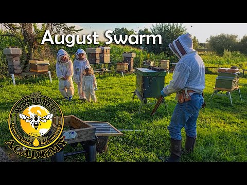 Grandfather’s Little Helpers: Catching a Swarm at The Way To Bee Academy