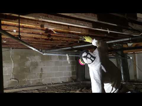 Business Has Mold in the Crawl Space in Toms River, NJ