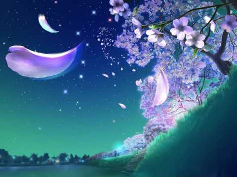 Calling to old Souls