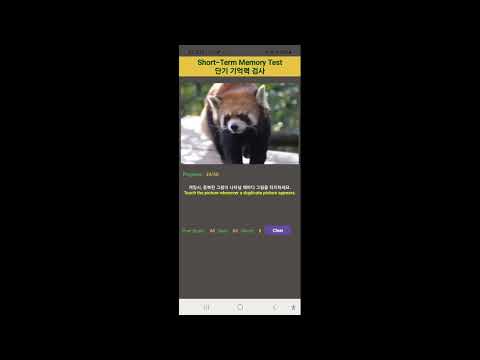 Short-Term Memory Check video thumbnail