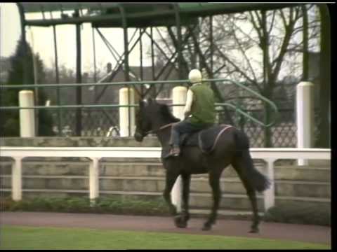 Kempton Park Horse Racing