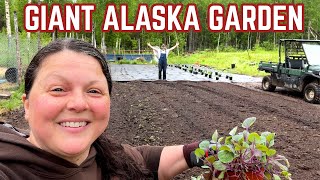 Planting Our HUGE Alaska Homestead Garden - 2 Alaskans, 3 days, 1000 Plants...in the pouring rain