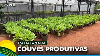 Miniatura do vídeo