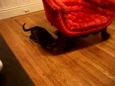 Bandana and Marquita