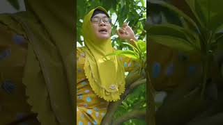 Download lagu Sumiyati Vs Kiki Wati || Kontrakan rempong #warintil #warintilofficial mp3 Download lagu Sumiyati Vs Kiki Wati || Kontrakan rempong #warintil #warintilofficial mp3