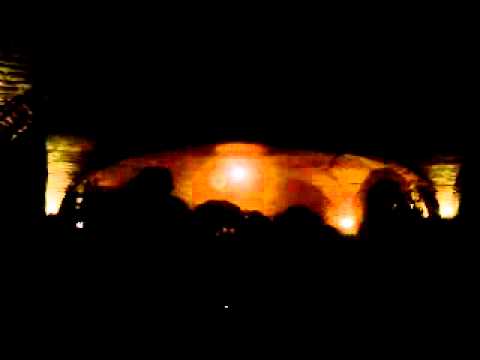 Stagno lombardo 2011