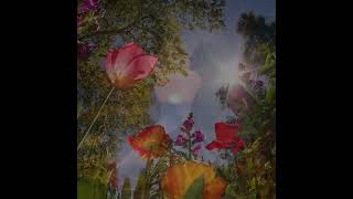 Marc Anthony - Me Haces Falta