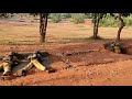Indian Army Status Army Training Status Video Best Army Status Teri Mitt Full HD