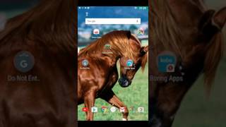 Reviewing string rush