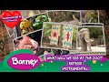 Barney What Will We See At The Zoo Reprise Instrumental