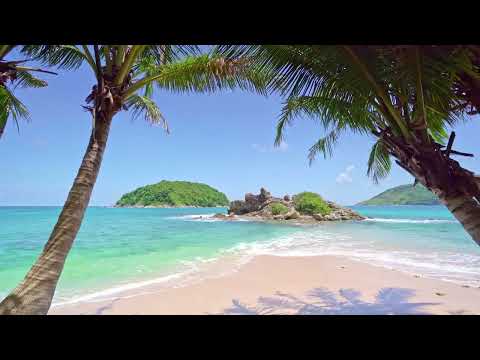 Tropical Beach with Waves crashing on Sandy Shore - White Noise for Meditation & Sleep - 4K UHD