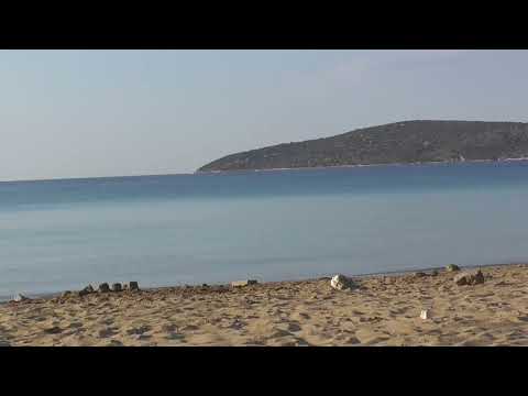 KATANA 180722 6 HER MIT DEM IMMERGLEICHEN