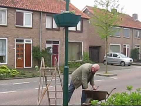 Nieuwe bloemen in de Florijnendreef in Cuijk voor Moederdag