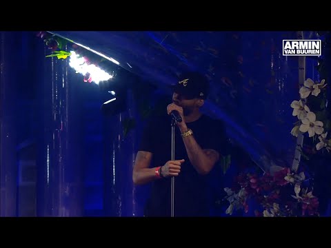 Mr. Probz - Waves (live performance) (Armin Van Buuren edit) @ Tomorrowland 2015