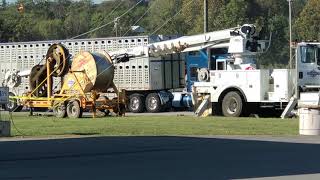 cow truckin seven miles south