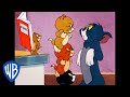 Tom Jerry Home But Not Alone Classic Cartoon Compilation WB Kids