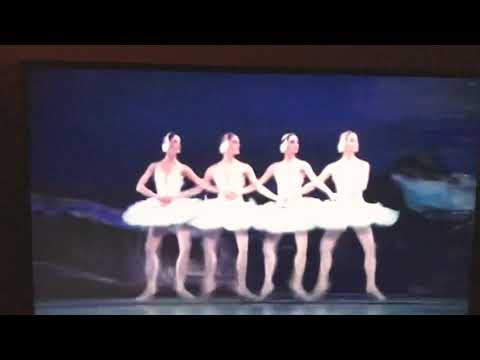 Swan Lake - Treambura Pamporea