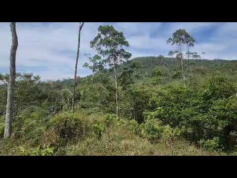img-video