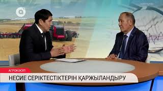 Несие серіктестіктерін қаржыландыру  