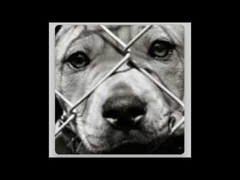 Dzyogas - Spotkam prod  Mixla