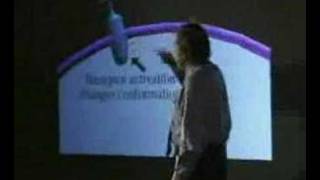 Bruce Lipton - Biology of Perception 4 of 7