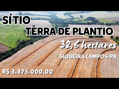 SC01-SÍTIO 32,6 HECTARES - TERRA DE PLANTIO - MECANIZAVEL - SIQUEIRA CAMPOS - PARANÁ.