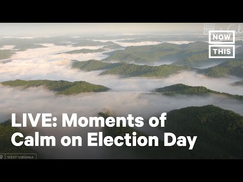 Moments of Calm Following Election Day | LIVE | NowThis