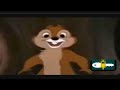 Cartoon Donal Bebek Vs Tupai Lucu