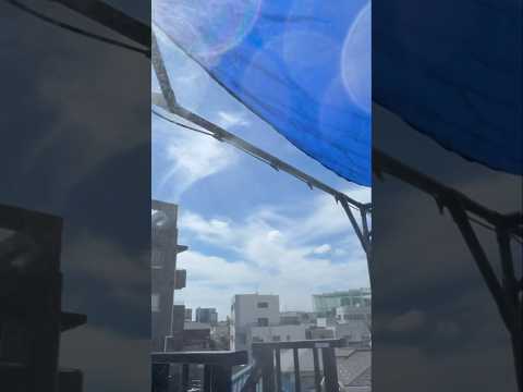 屋外木製シャワー