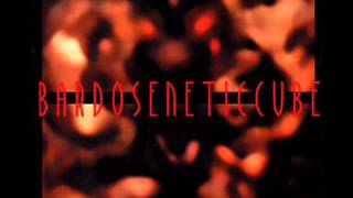 Bardoseneticcube - untitled 7