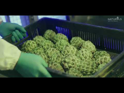 Sitaphal Ice cream by Naturals: Straight from the farms of Saswad #FarmToScoop #TasteTheOriginal